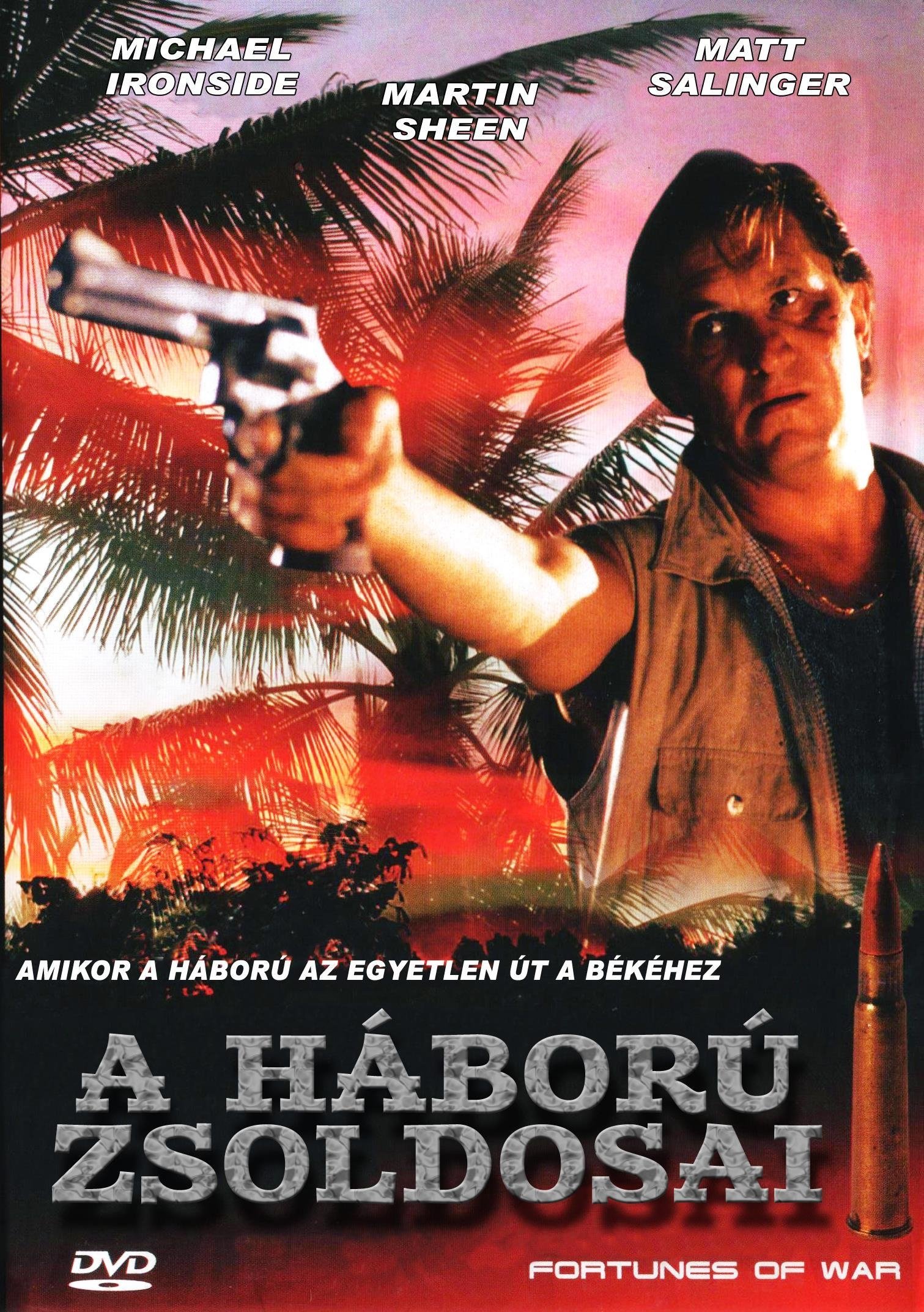 Постер Fortunes of War